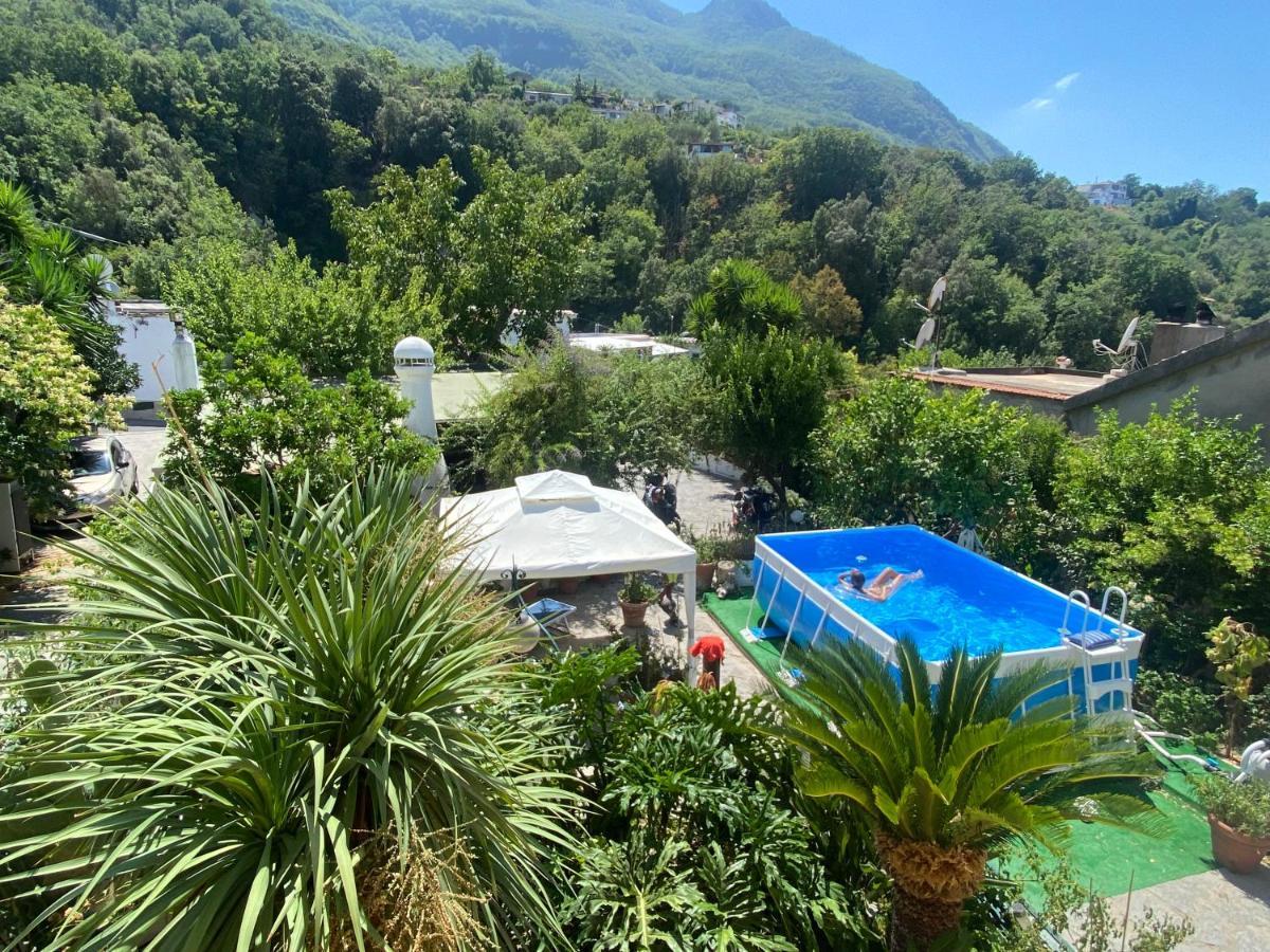 B&B Lodge Dell'Ospite Ischia Casamicciola Terme Luaran gambar