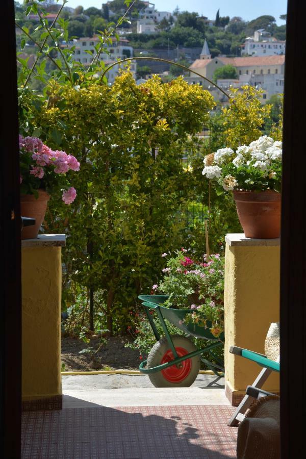 B&B Lodge Dell'Ospite Ischia Casamicciola Terme Luaran gambar